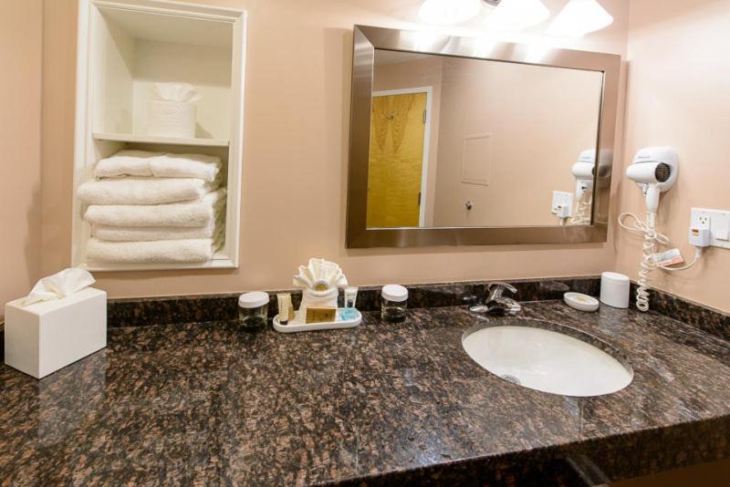 Suite with Sofa Bed interior